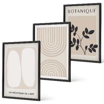 Conjunto de 3 quadros com moldura Pôsteres de plantas delicadas em estilo boho