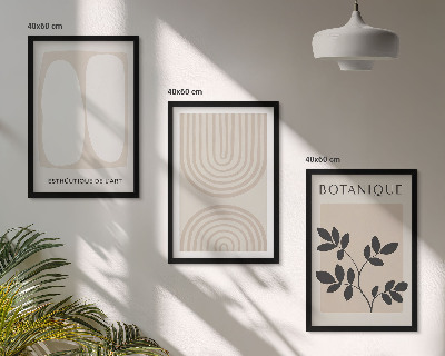 Conjunto de 3 quadros com moldura Pôsteres de plantas delicadas em estilo boho