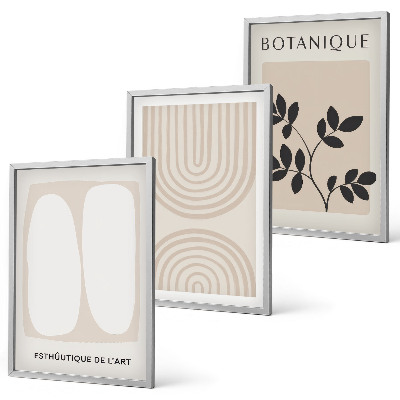 Conjunto de 3 quadros com moldura Pôsteres de plantas delicadas em estilo boho