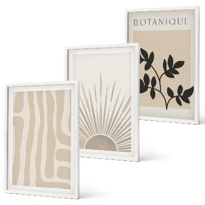 Conjunto de 3 quadros com moldura Padrões abstratos de plantas