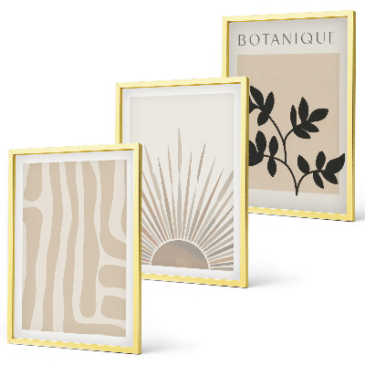 Conjunto de 3 quadros com moldura Padrões abstratos de plantas