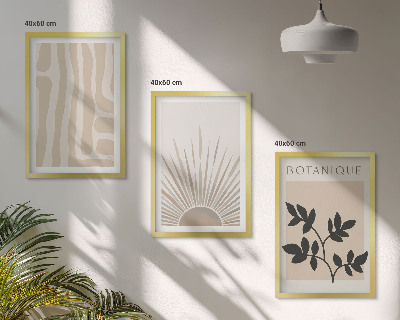 Conjunto de 3 quadros com moldura Padrões abstratos de plantas