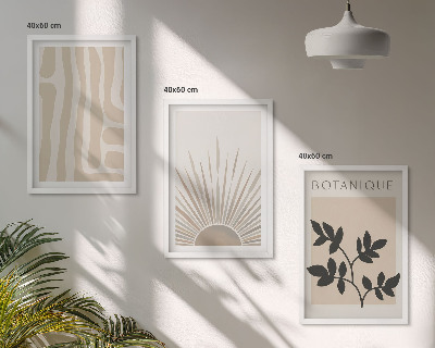 Conjunto de 3 quadros com moldura Padrões abstratos de plantas