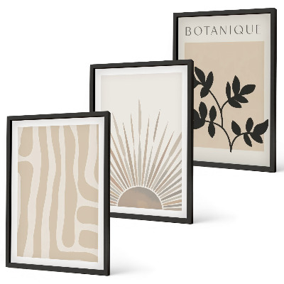 Conjunto de 3 quadros com moldura Padrões abstratos de plantas