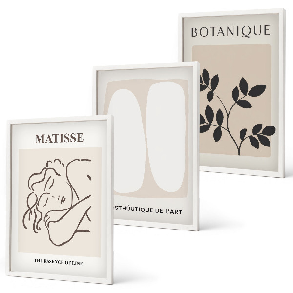 Composição de quadros moderna As elegantes pinturas de plantas de Matisse