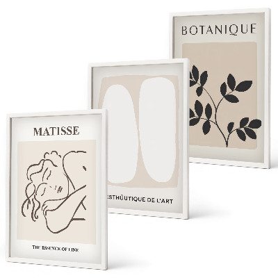 Composição de quadros moderna As elegantes pinturas de plantas de Matisse