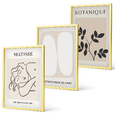 Composição de quadros moderna As elegantes pinturas de plantas de Matisse