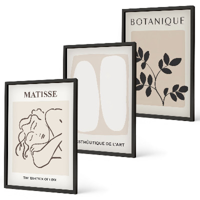Composição de quadros moderna As elegantes pinturas de plantas de Matisse