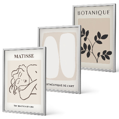Composição de quadros moderna As elegantes pinturas de plantas de Matisse