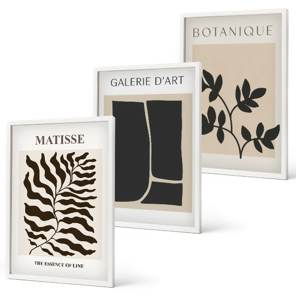 Conjunto de 3 quadros com moldura Pôsteres minimalistas de plantas