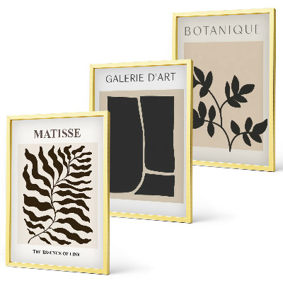 Conjunto de 3 quadros com moldura Pôsteres minimalistas de plantas