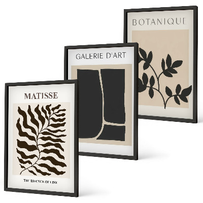 Conjunto de 3 quadros com moldura Pôsteres minimalistas de plantas
