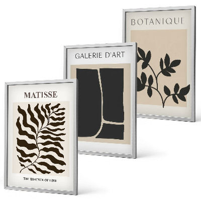 Conjunto de 3 quadros com moldura Pôsteres minimalistas de plantas