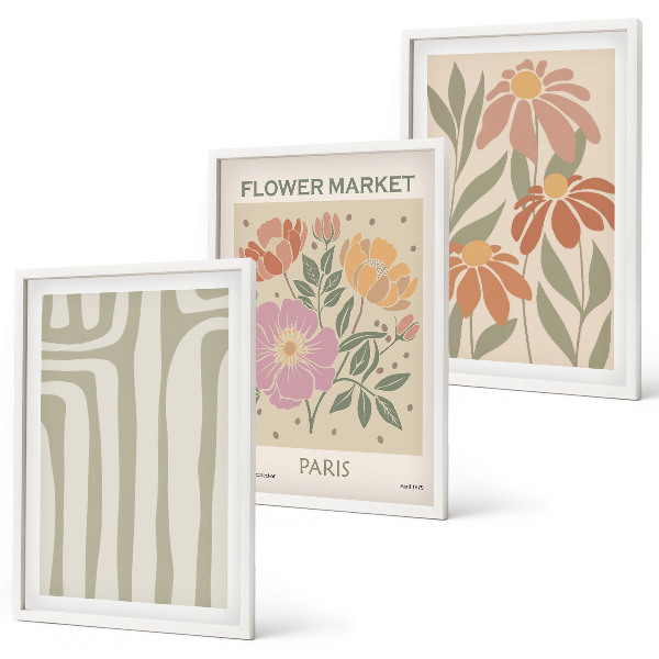 Conjunto de 3 quadros com moldura Motivos botânicos, minimalismo parisiense
