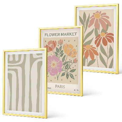 Conjunto de 3 quadros com moldura Motivos botânicos, minimalismo parisiense