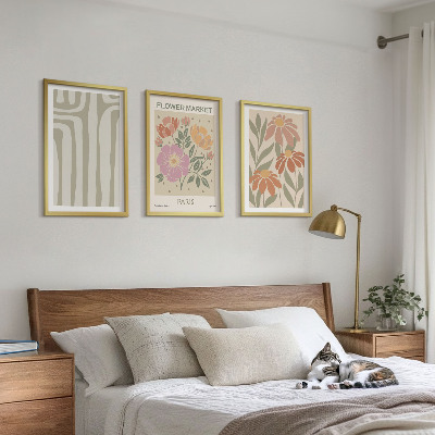 Conjunto de 3 quadros com moldura Motivos botânicos, minimalismo parisiense