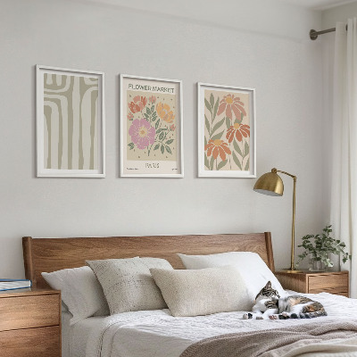 Conjunto de 3 quadros com moldura Motivos botânicos, minimalismo parisiense
