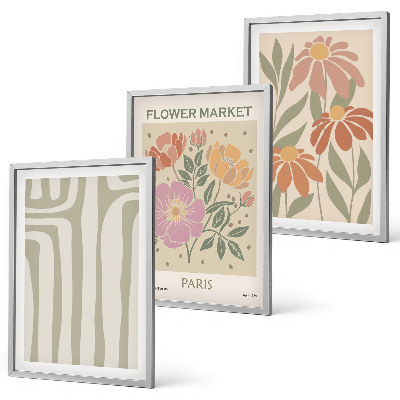 Conjunto de 3 quadros com moldura Motivos botânicos, minimalismo parisiense