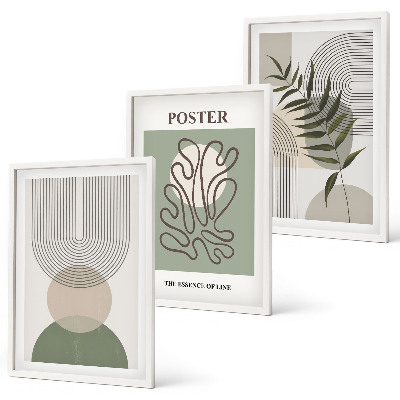 Composição de quadros moderna padrões botânicos geométricos
