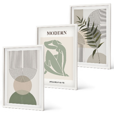 Conjunto de 3 quadros com moldura Gráficos de plantas estilosos