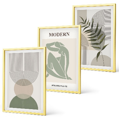 Conjunto de 3 quadros com moldura Gráficos de plantas estilosos