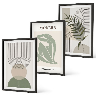Conjunto de 3 quadros com moldura Gráficos de plantas estilosos
