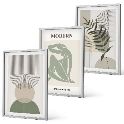Conjunto de 3 quadros com moldura Gráficos de plantas estilosos