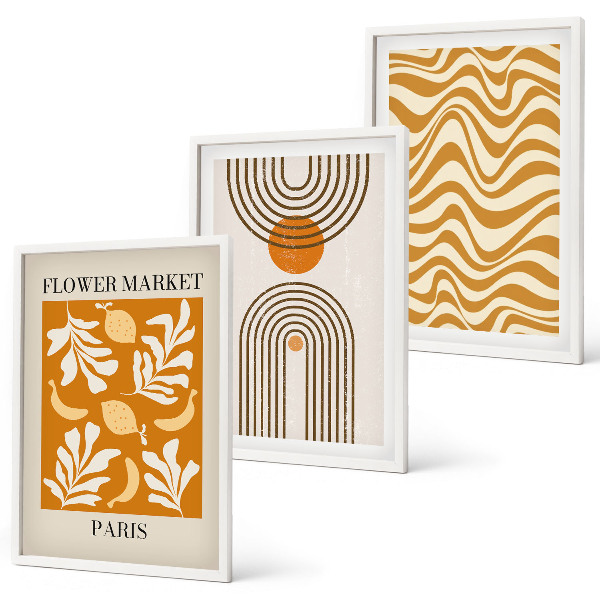 Conjunto de 3 quadros com moldura Pôsteres com padrões geométricos de plantas