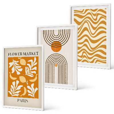 Conjunto de 3 quadros com moldura Pôsteres com padrões geométricos de plantas