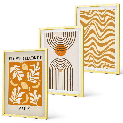 Conjunto de 3 quadros com moldura Pôsteres com padrões geométricos de plantas