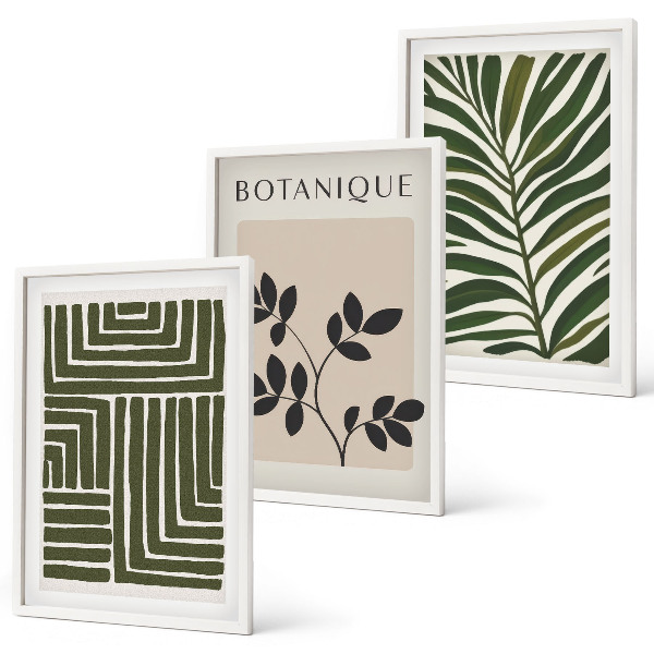 Conjunto de 3 quadros com moldura minimalismo botânico boho