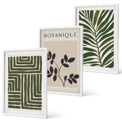 Conjunto de 3 quadros com moldura minimalismo botânico boho