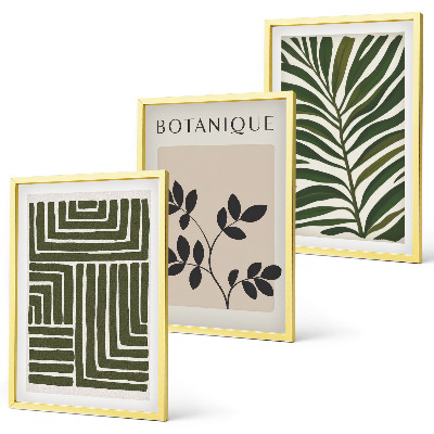 Conjunto de 3 quadros com moldura minimalismo botânico boho