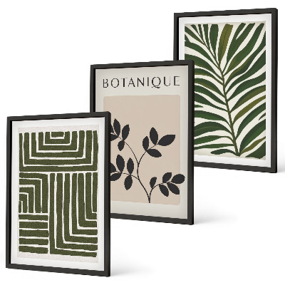 Conjunto de 3 quadros com moldura minimalismo botânico boho