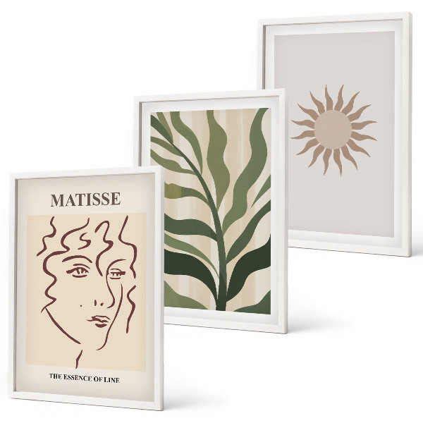 Conjunto de quadros para sala de estar Padrões abstratos de plantas