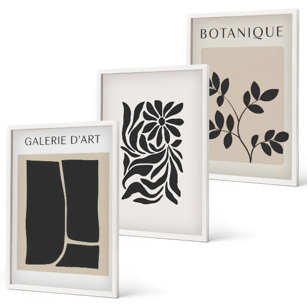 Conjunto de quadros para sala de estar Padrões abstratos de plantas