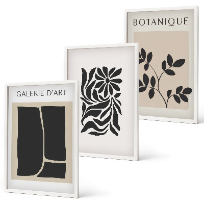 Conjunto de quadros para sala de estar Padrões abstratos de plantas