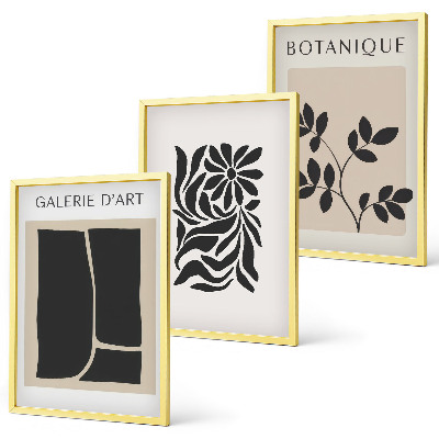 Conjunto de quadros para sala de estar Padrões abstratos de plantas