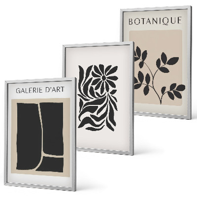 Conjunto de quadros para sala de estar Padrões abstratos de plantas