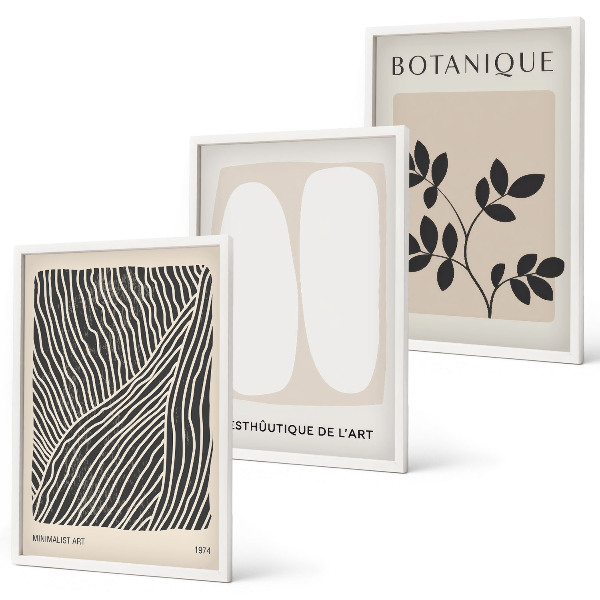 Conjunto de 3 quadros com moldura Padrões e linhas de plantas