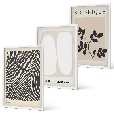 Conjunto de 3 quadros com moldura Padrões e linhas de plantas