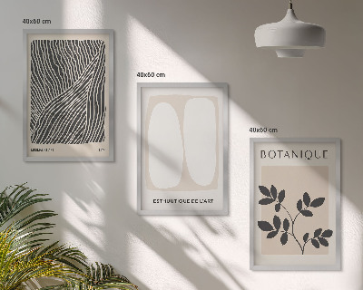 Conjunto de 3 quadros com moldura Padrões e linhas de plantas