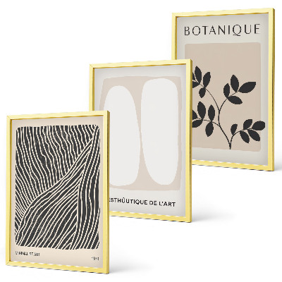 Conjunto de 3 quadros com moldura Padrões e linhas de plantas