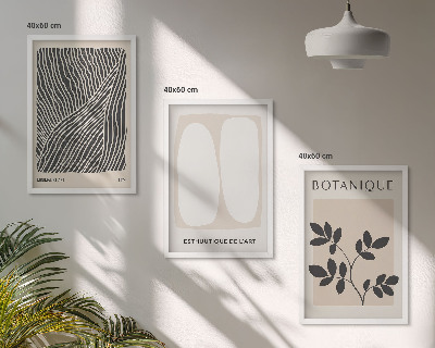 Conjunto de 3 quadros com moldura Padrões e linhas de plantas