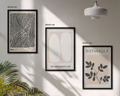 Conjunto de 3 quadros com moldura Padrões e linhas de plantas