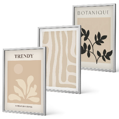 Conjunto de quadros para sala de estar Estampas de plantas estilosas em tons de bege e preto.