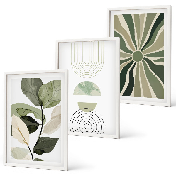 Conjunto de 3 quadros com moldura Motivos vegetais, geometria, vegetação