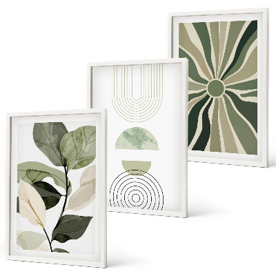 Conjunto de 3 quadros com moldura Motivos vegetais, geometria, vegetação