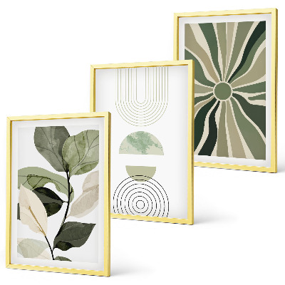 Conjunto de 3 quadros com moldura Motivos vegetais, geometria, vegetação