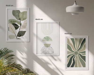 Conjunto de 3 quadros com moldura Motivos vegetais, geometria, vegetação
